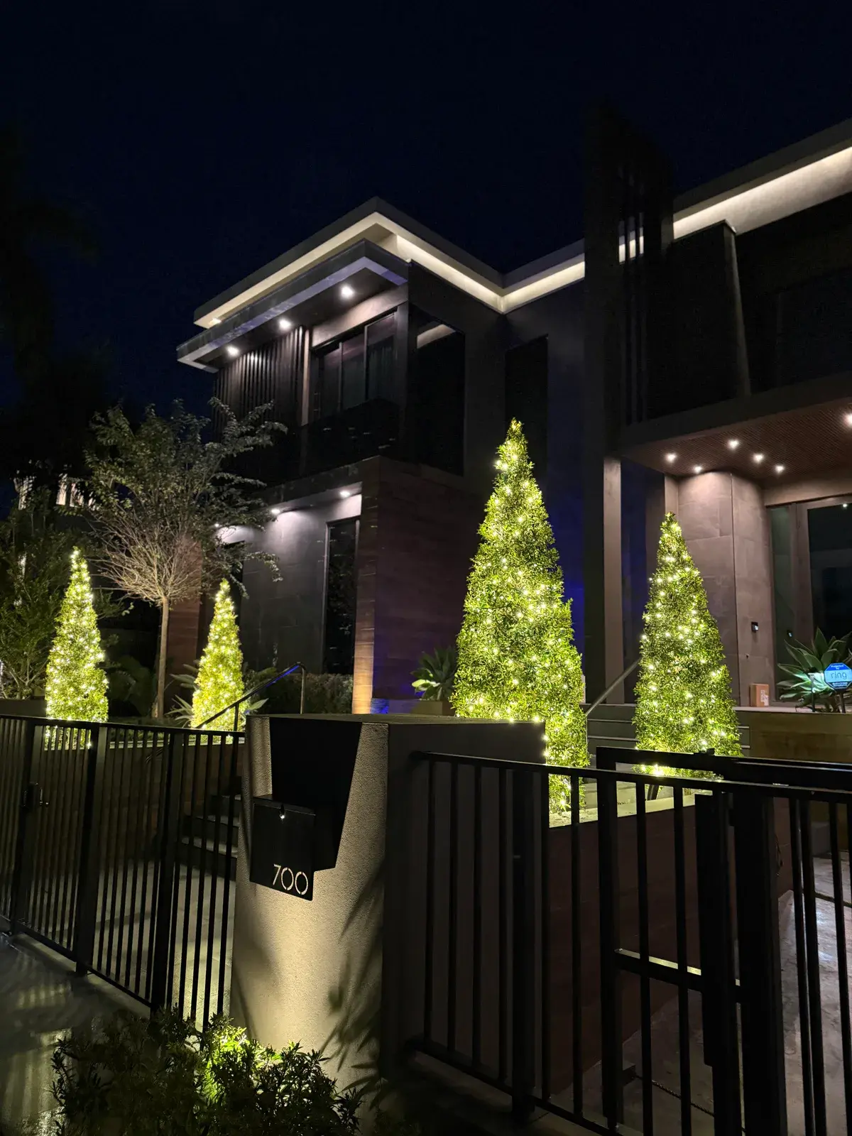 Modern home entrance lined with cone-shaped trees wrapped in warm white lights