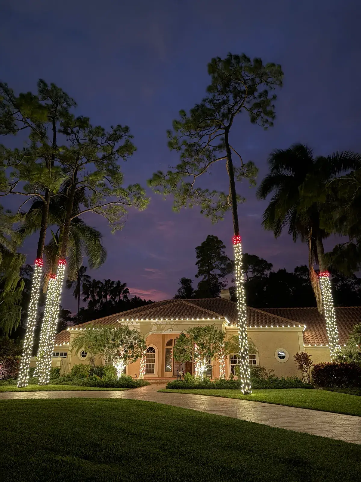 South Florida estate framed by tall palm and pine trees wrapped in holiday lights