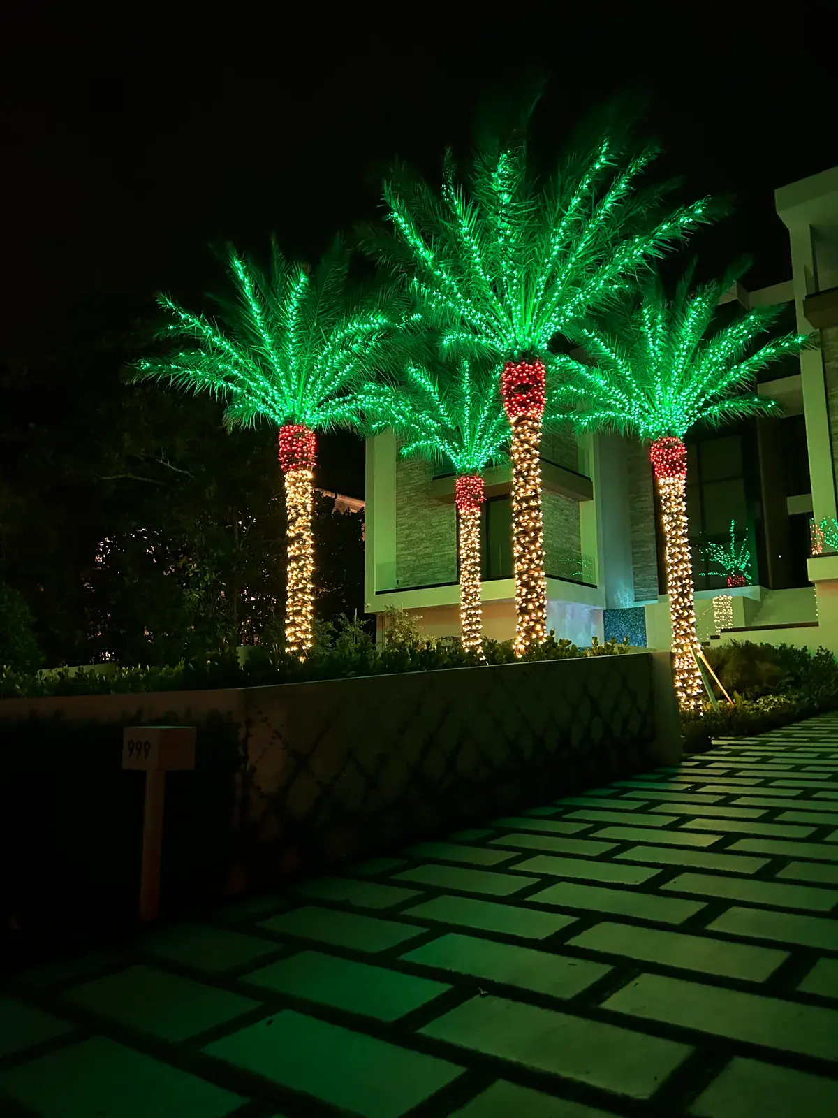 Group of four palm trees illuminated in red, green, and warm white holiday lights