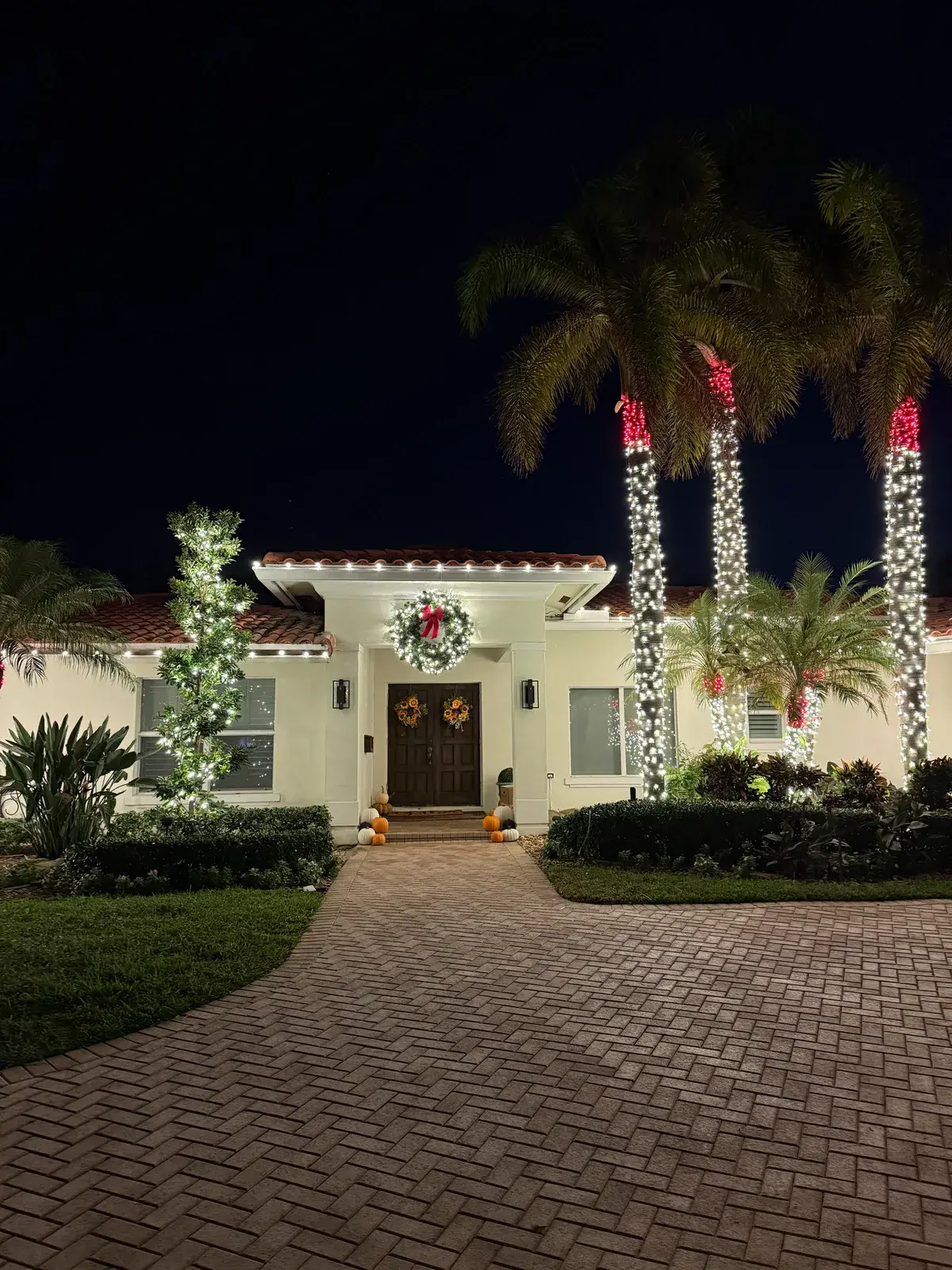 Single-story home decorated with a wreath, roofline lights, and three illuminated palms