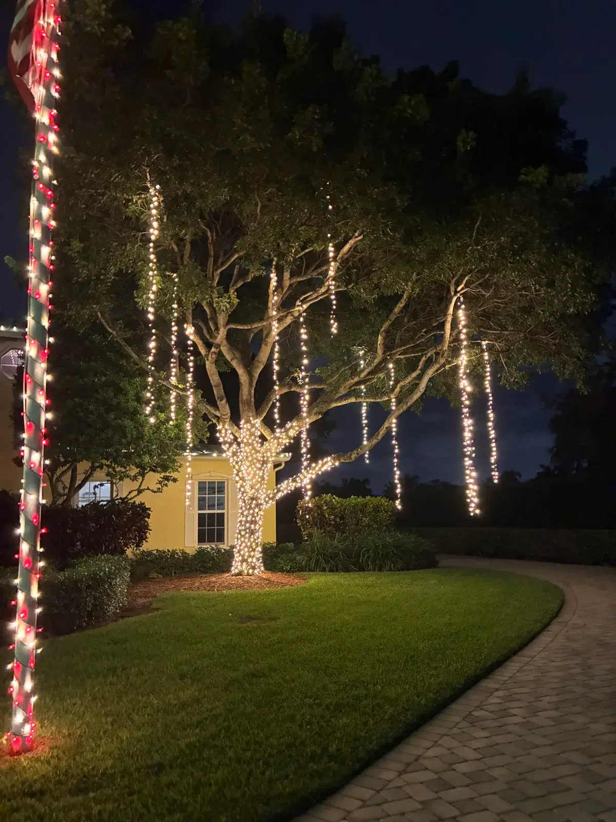 Large tree wrapped in warm white lights with hanging strands across its branches