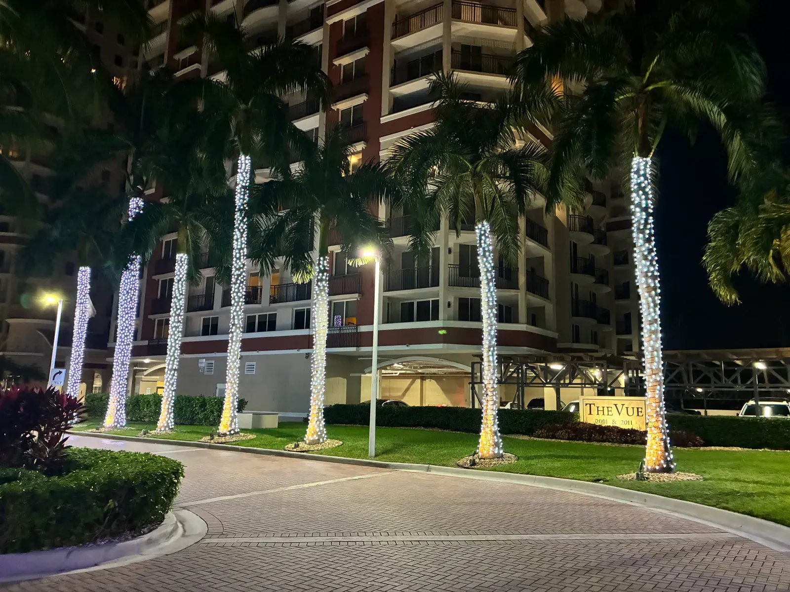 Commercial condominium entrance lined with a group of illuminated palm trees